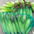 옥식농장 이미지