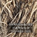 고향산천농장 이미지