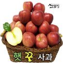 산들정