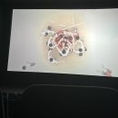 운봉동물병원 | 3월의 일기