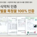 DC080 | 캄보디아 목청꿀? 명절선물 8년 연속 조기 완판된 상위 0.1% 꿀