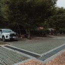 백야자연휴양림 이미지