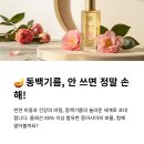 동백기름 효능 부작용 짜는법 영양성분 복용법 총정리