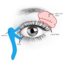 이시형한의원 이미지