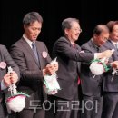 최보근 카카오 검색결과