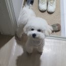 복자통신 이미지