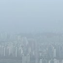 신토불이떡볶이 이미지