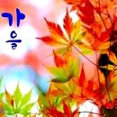 🍂 지혜로운 삶의 습관 🍂 이미지