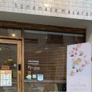 라꼬끄(LACOQUE) 이미지