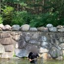 샛들민박 이미지