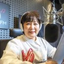 이금희 카카오 검색결과