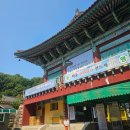삼배통 | SNS에서 핫한 소원 성취 명당 방문 후기 - 파주 심학산 약천사 약사여래불
