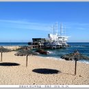 바다부채길1 이미지