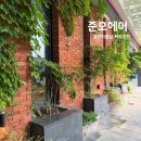 일산미용실 준오헤어 가든원마운트점 지유 디자이너 추천 후기
