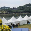 제67회 밀양 아리랑 대축제 2일차 이미지