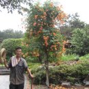 관형농장 이미지