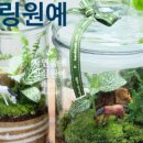 산림문화협동조합더그루 이미지