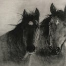 소소한 일상의 드로잉 이미지