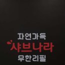 샤브나라 이미지