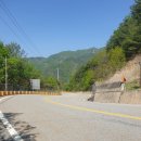 평지마을앞~신기마을앞 이미지