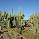 남미농장 이미지