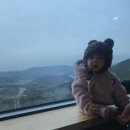 보령 갱스카페 인생샷 찍고 왔소유 :)