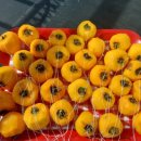 예찬농장 이미지