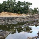 신례2리(공천포) 1 이미지