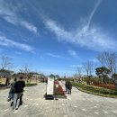 오성농장 | 경기도 평택시 농업생태원 튤립축제 아이와 가볼만한곳 추천(야외놀이터, 모래놀이터, 토끼먹이주기)