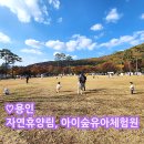 용인아이숲유아숲체험원 | 용인 자연휴양림, 아이숲유아체험원 - 아이랑 가을 숲체험, 잔디광장 가볼만한곳, 경기도 캠핑하기 좋은곳