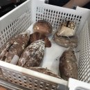 가평일상탈출하우스 | 호캉스