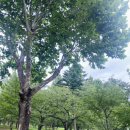 천마총 화장실 이미지