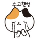 DEWYBYJIN듀이바이진