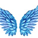 날개 이미지