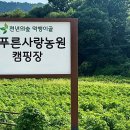 늘푸른 관광농원 네이버블로그