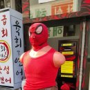 신천스타복싱 이미지