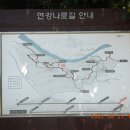 방아교 티스토리