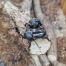 곤충박물관 1층 | [여주곤충박물관] 아이랑 가볼만한곳 - 곤충체험 파충류체험 후기