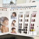 디탐헤어(성신여대역점) | 성신여대 미용실 디탐헤어 성신여대역점 전체 염색 후기