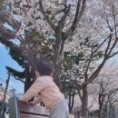 기계면 버드내 작은도서관 | ㅡ 수원세류동공원 수원벚꽃공원 수원황토길공원 방문후기 수원가족과연인과친구와나홀로아기랑가볼만한곳