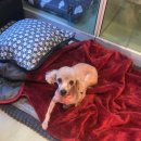 온블리살롱 이미지