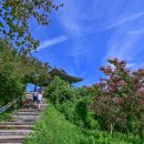 비비정예술열차 이미지