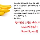 필리핀산 고당도 바나나 특가판매! 13kg1박스 (6손) 이미지