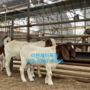 제이목장 이미지