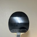 버터플라이 | "버터플라이, 비스카리아 FL" 사용 후기