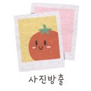 가송미트