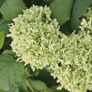 동네밥집 이미지