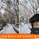 치킨내킨 이미지