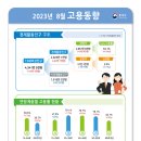 [속보]8월 취업자 수 26만8000명 증가…두달 연속 20만명대 이미지