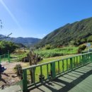 진전면962 이미지